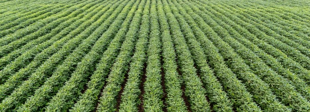 Land for sale in Pulaski County, Arkansas