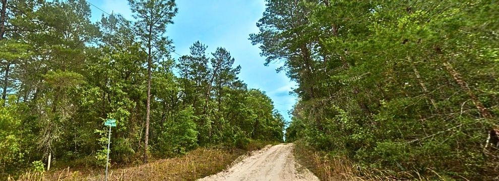 Undeveloped Land for sale in Putnam County, Florida