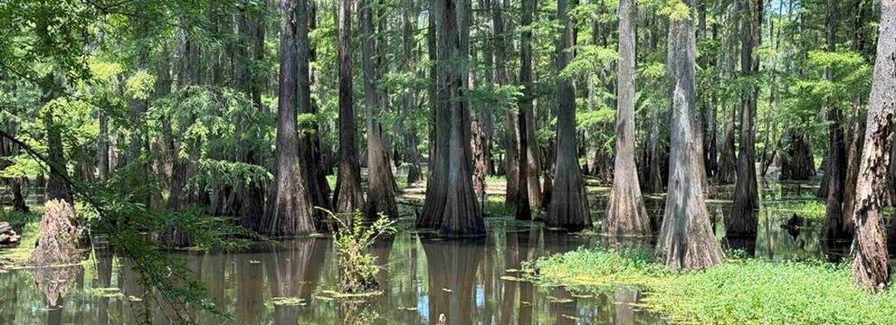 Commercial Property for sale in Lenoir County, North Carolina