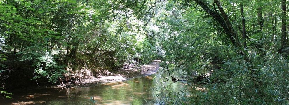 Recreational Property for sale in Monroe County, Georgia
