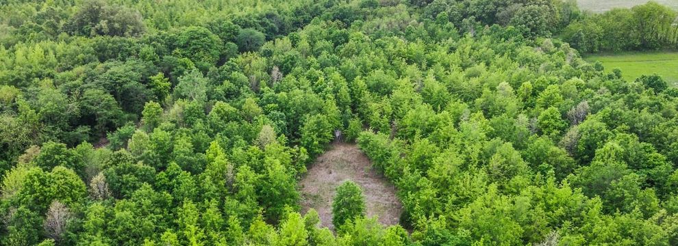 Undeveloped Land for sale in Coahoma County, Mississippi