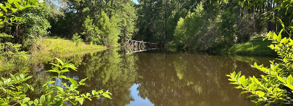 Land for sale in Trinity County, Texas