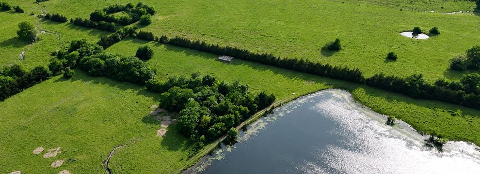 Undeveloped Land for sale in Lamar County, Texas