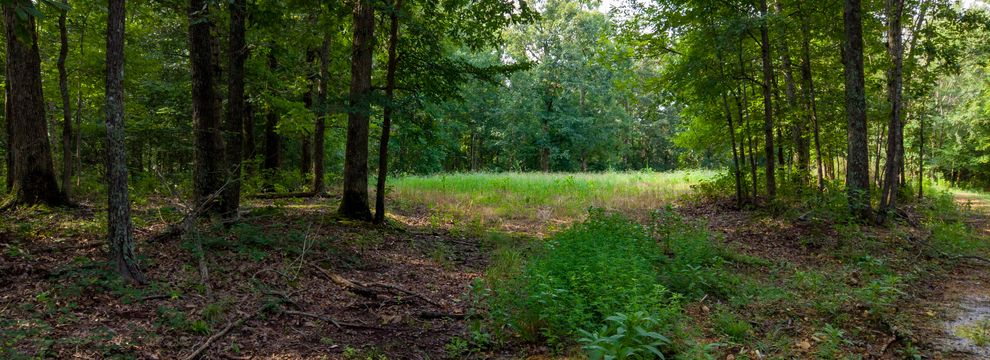 Timberland Property for sale in Humphreys County, Tennessee