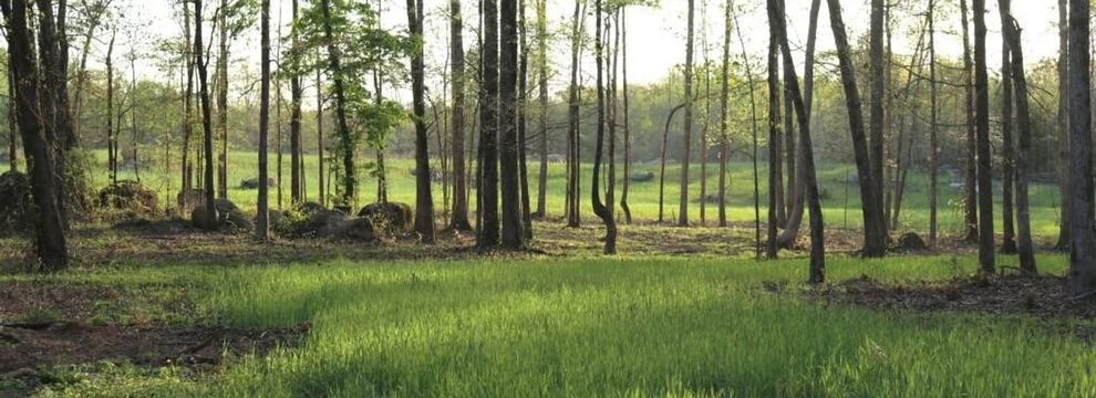 Land for sale in Saluda County, South Carolina