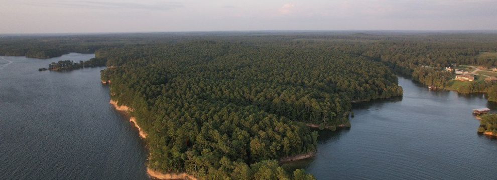 Farm and Ranch for sale in Sabine Parish, Louisiana