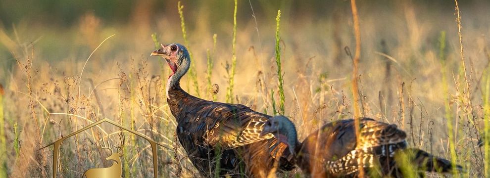 Farm and Ranch for sale in Creek County, Oklahoma