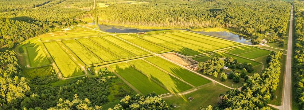 Timberland Property for sale in Monroe County, Wisconsin