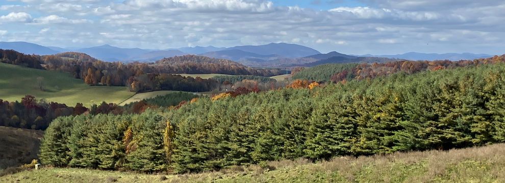 Timberland Property for sale in Alleghany County, North Carolina