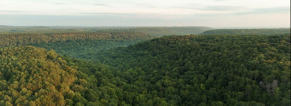 Land for sale in Colbert County, Alabama