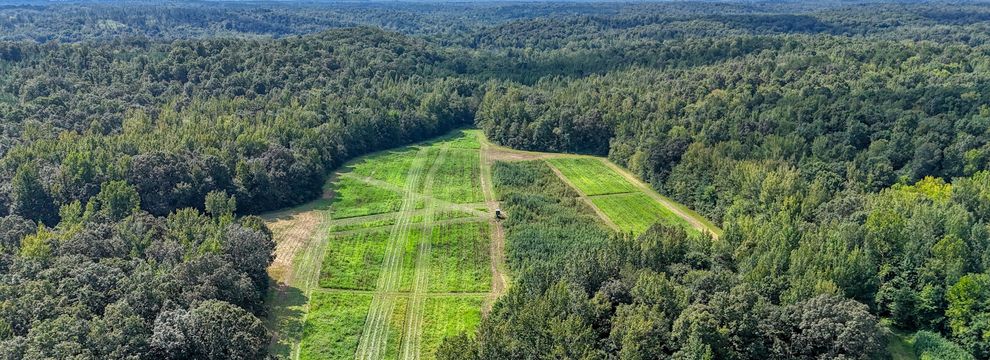 Land for sale in Benton County, Tennessee