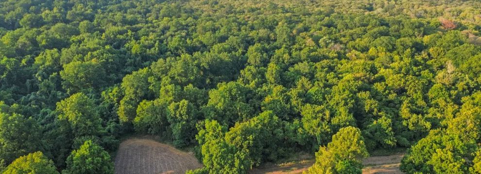 Recreational Property for sale in Desha County, Arkansas