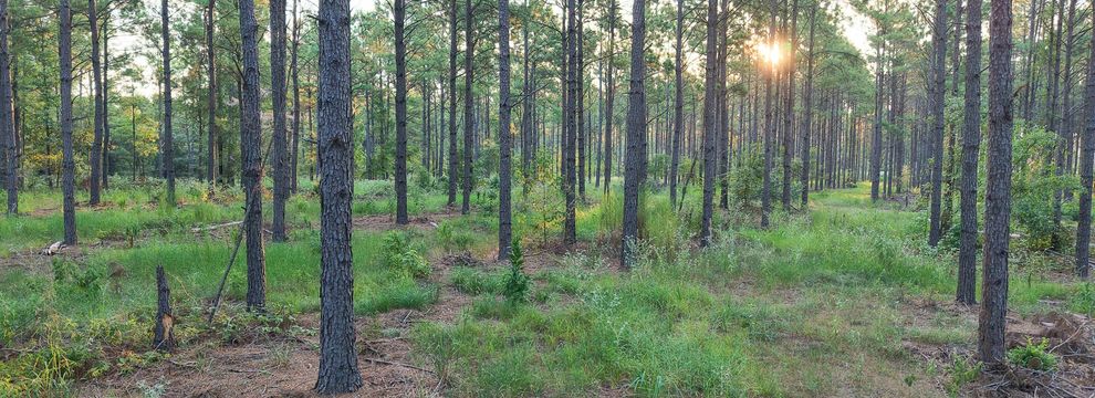Farm and Ranch for sale in Red River County, Texas