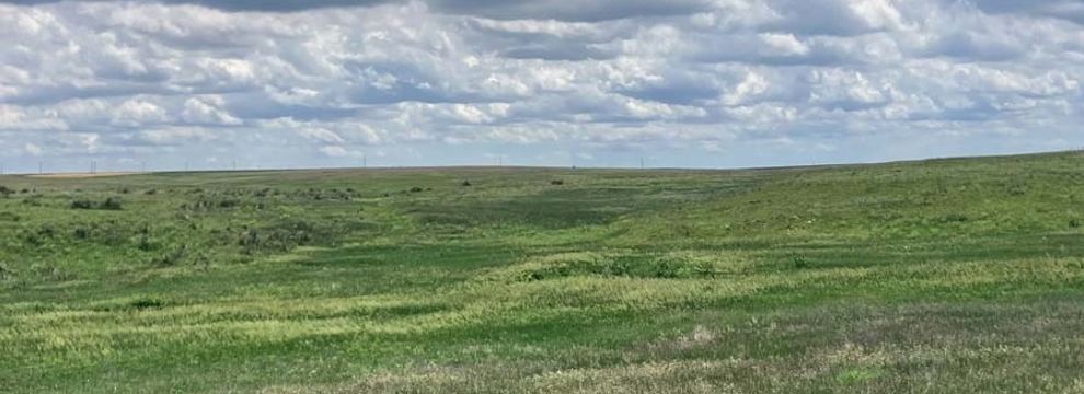 Land for sale in Rush County, Kansas