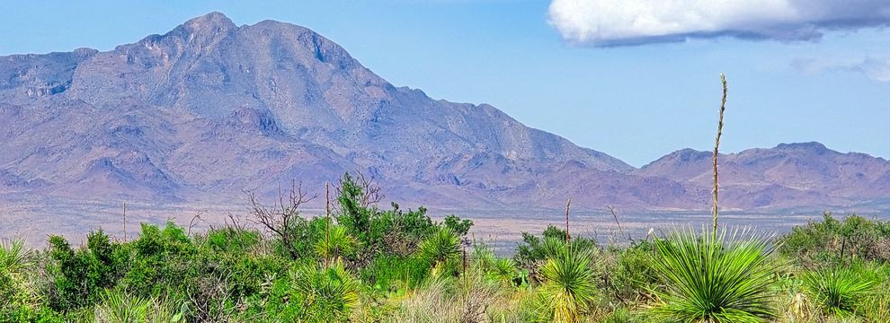 Commercial Property for sale in Luna County, New Mexico