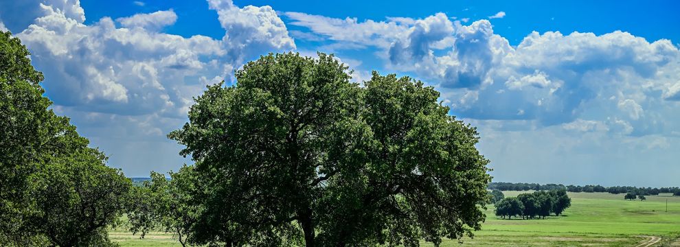 Land for sale in Clay County, Texas