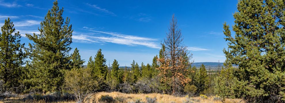 Land for sale in Klamath County, Oregon