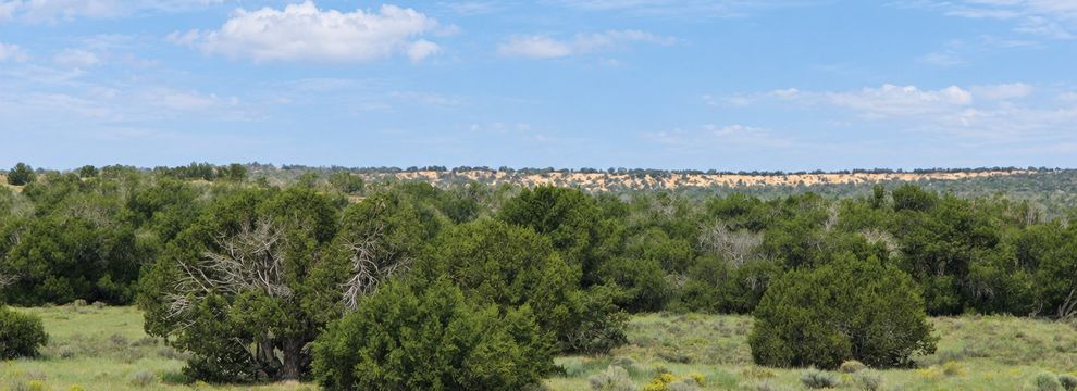 Land for sale in Apache County, Arizona