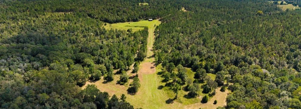 Land for sale in Taylor County, Georgia
