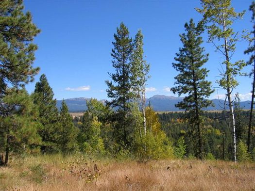 Mccall Valley County ID Undeveloped Land Homesites For Sale Property 