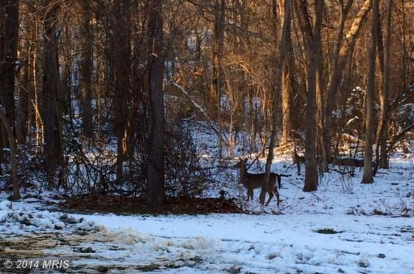 Mclean Fairfax County VA Farms And Ranches Homesites For Sale 