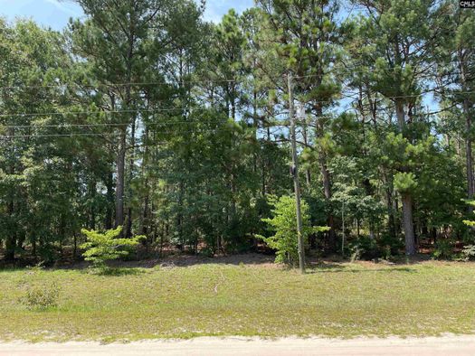 gilbert-lexington-county-sc-undeveloped-land-for-sale-property-id