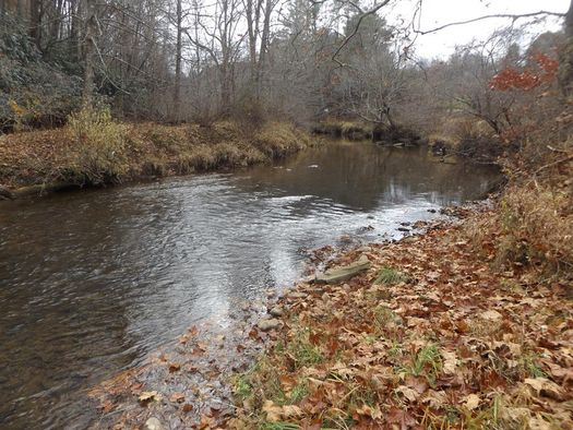 Woodlawn Carroll County VA Undeveloped Land Lakefront Property 