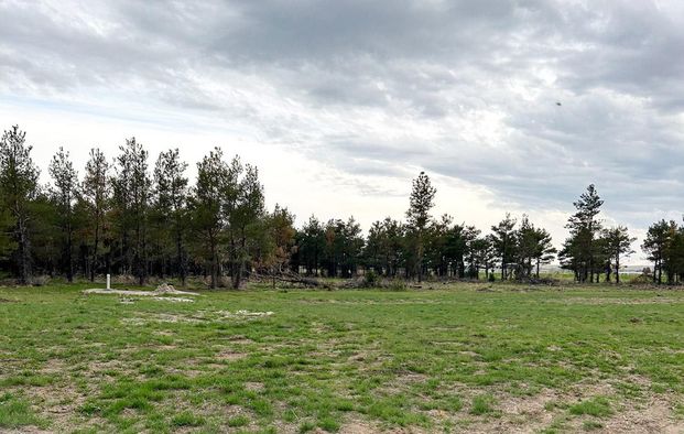 Goshen County, WY Land for Sale - 40 Listings | LandWatch