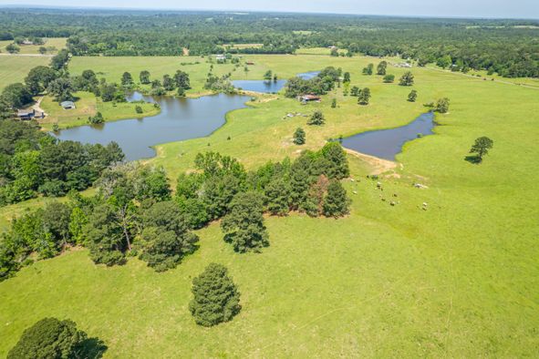 250 County Road 139, Palestine, TX 75801 | LandWatch