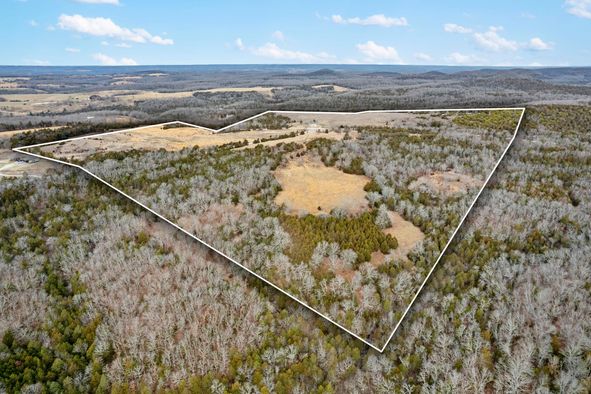 3433 State Hwy FF, Taneyville, MO 65759 MLS GSBOR60261349 LandWatch