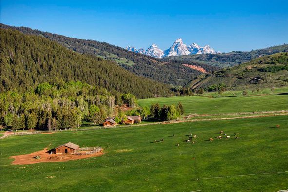 Teton County, WY Land for Sale