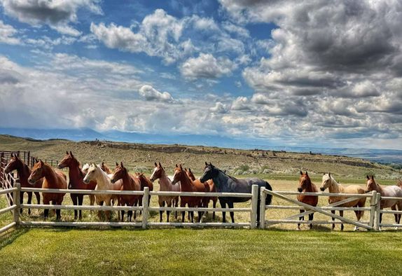 Page 20 Land for Sale over 1000 Acres 2,028 Listings LandWatch